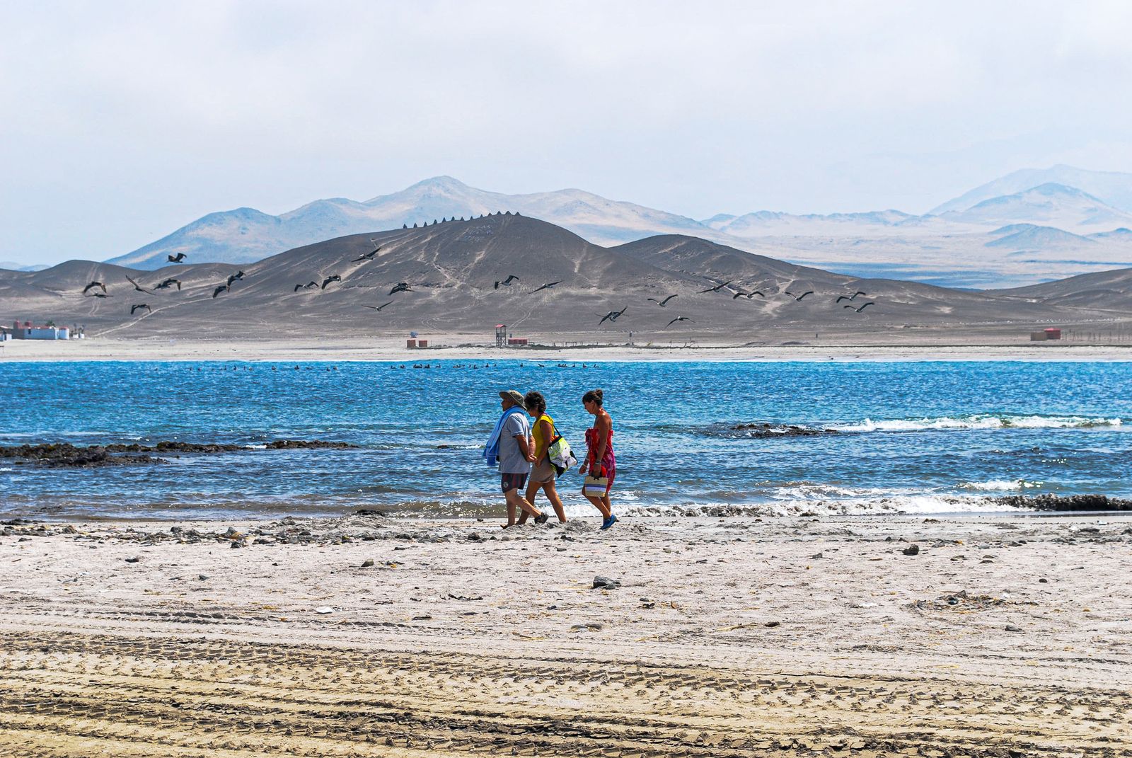 Grupo caminando por la playa de la Reserva Nacional de Paracas