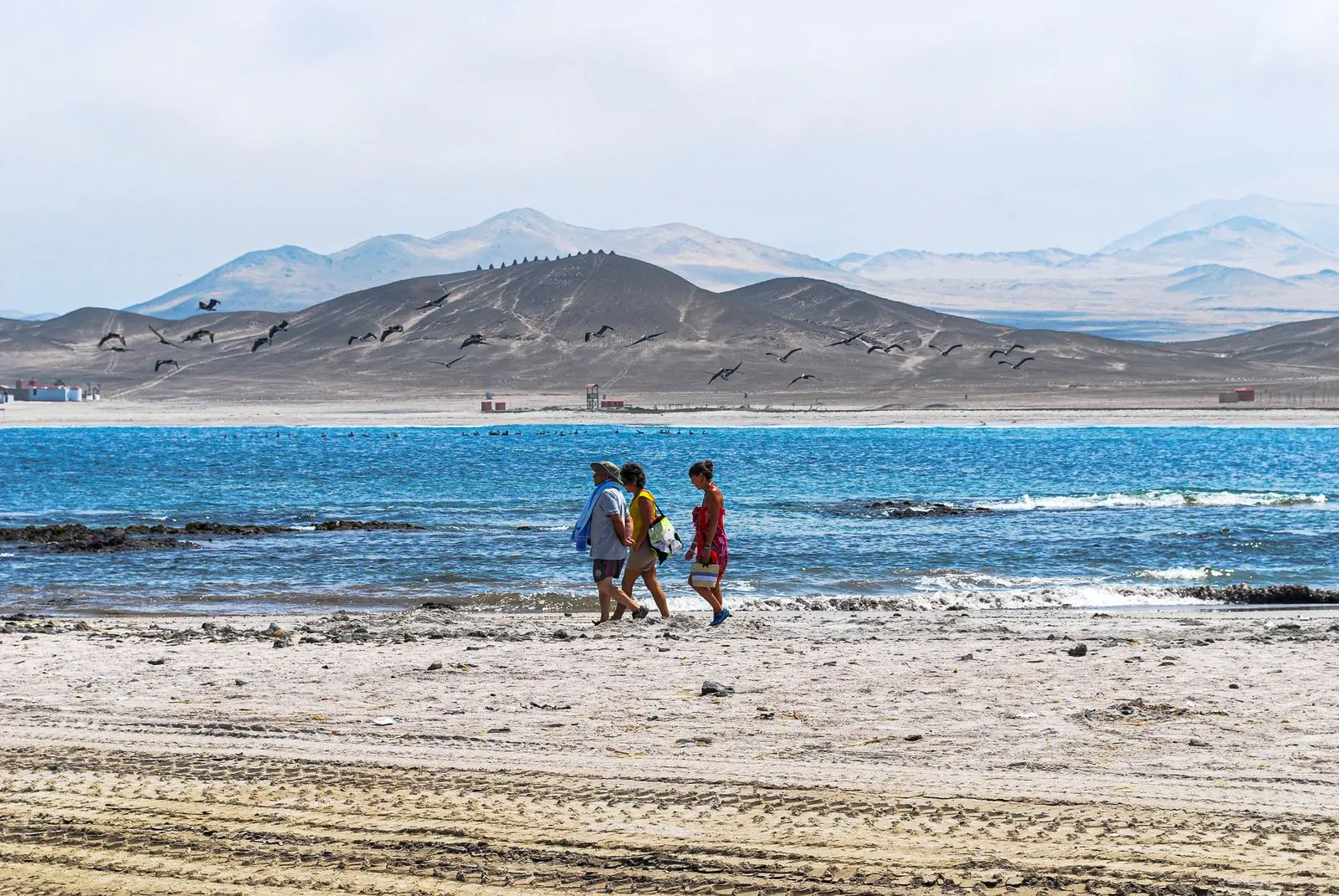 Group walking along the beach in the Paracas National Reserve
