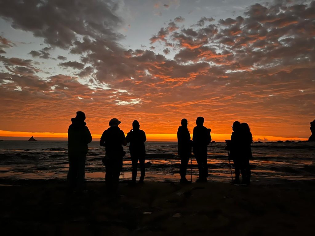 Nosotros Solymar Paracas